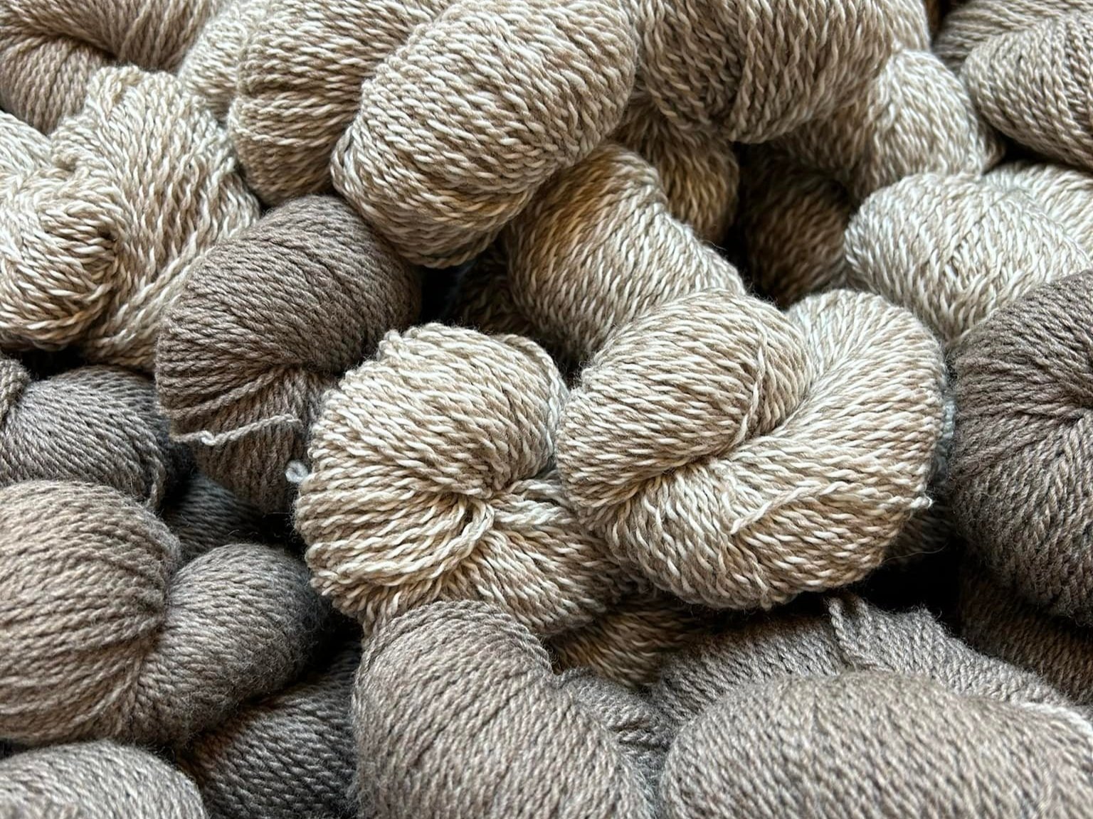 A close-up view of tightly coiled skeins of yarn in various shades of beige and brown, showcasing their soft texture and intricate twists, ideal for knitting and crafting projects.